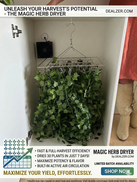Magic Herb Dryer 4.0 - 30 Plant Drying Box