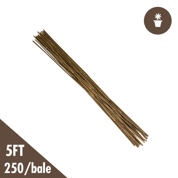 5 Natural Bamboo Stakes Bulk 250/bale