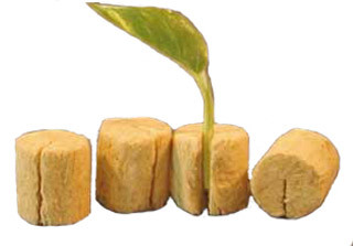 Grodan Macro Plug, round plug with slit 2000/cs RW91005