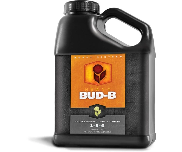 HEAVY 16 Heavy 16 Bud B Gallon 4L H161004BB4
