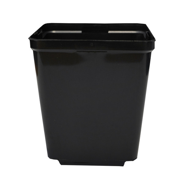 Square Injection Pot 2L 5.5in x 5.5in x 6in