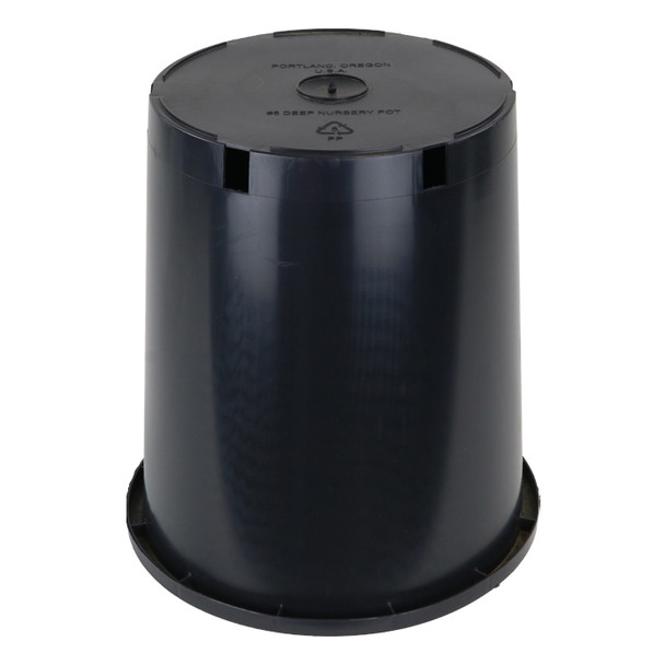 #5 Deep New (11 x 8½ x 12)