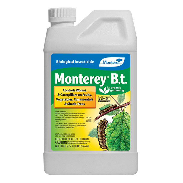 Monterey B.t. 1 Quart
