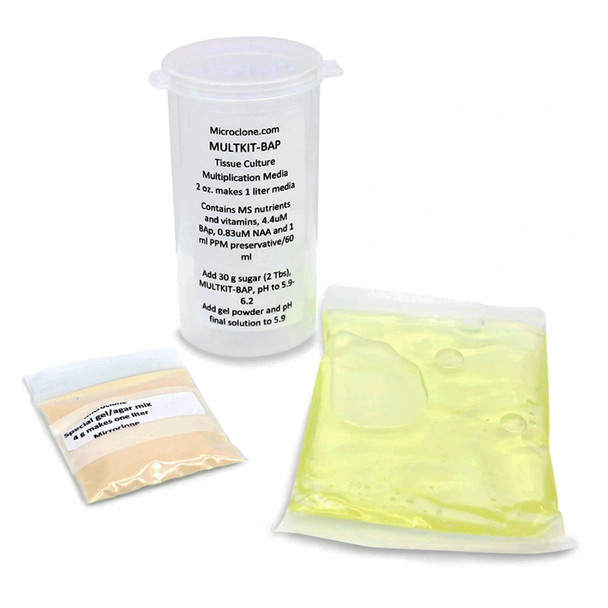 Multiplication Media Kit BA Hormone (MULTIKIT)