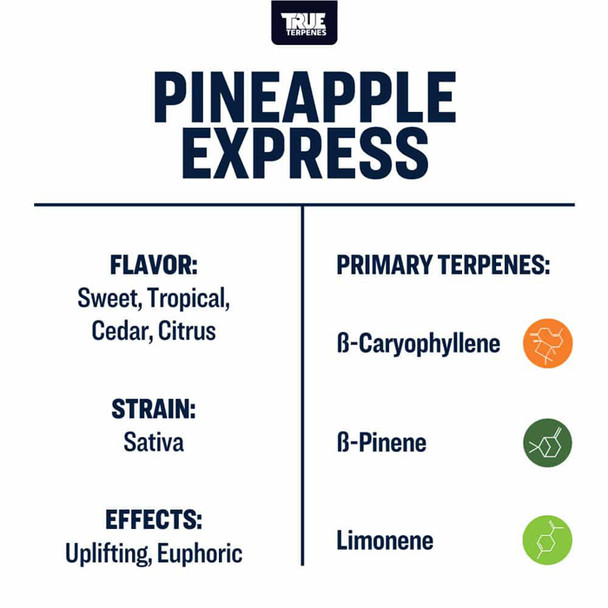 True Terpenes Pineapple Express Profile 15ml