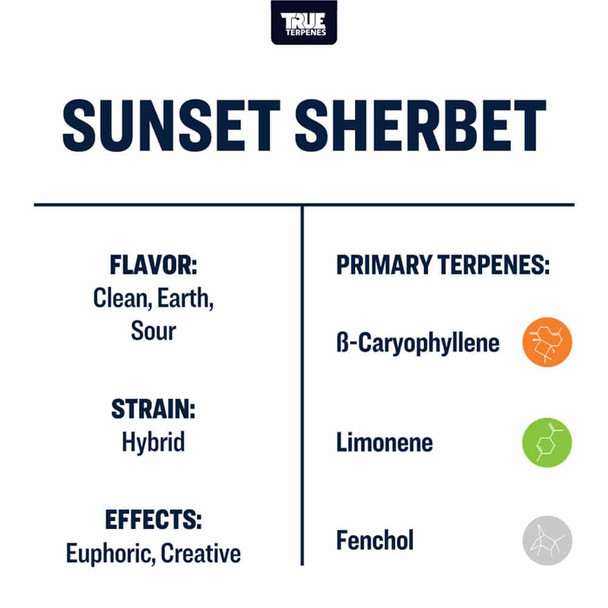 True Terpenes Sunset Sherbet Profile 4oz