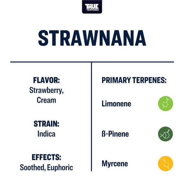 True Terpenes Strawnana Profile 15ml