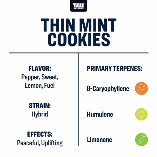 True Terpenes Thin Mint Cookies Profile 15ml