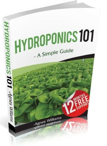 Dealzer Hydroponics 101 Training E-Book 55 Page and 12 Months Tech Support