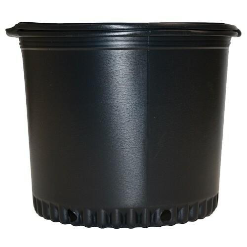 Dealzer 7 Gal Blow Molded Pot