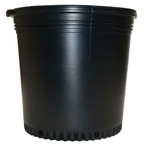 Dealzer 10 Gal Blow Molded Pot