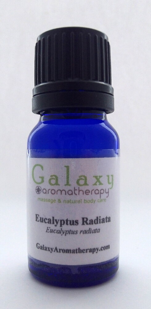 eucalyptus-radiata-resized-no-size-on-front.jpg