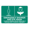 "EMERGENCY EYE WASH STATION AND SHOWER", Non-reflective, METAL, (300mm x 450mm)
