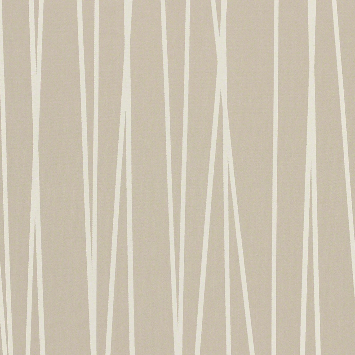 Mist Front