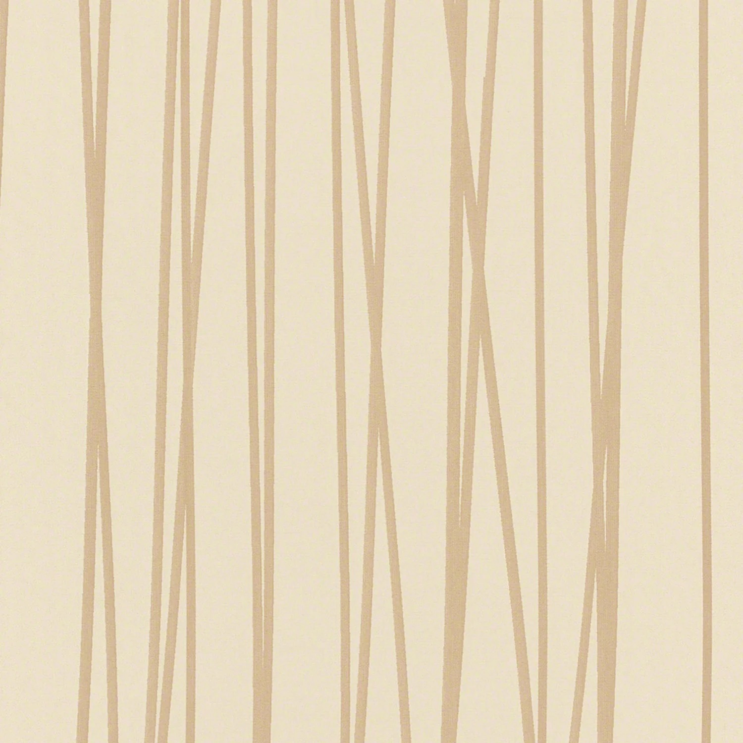 Sand Dune Back