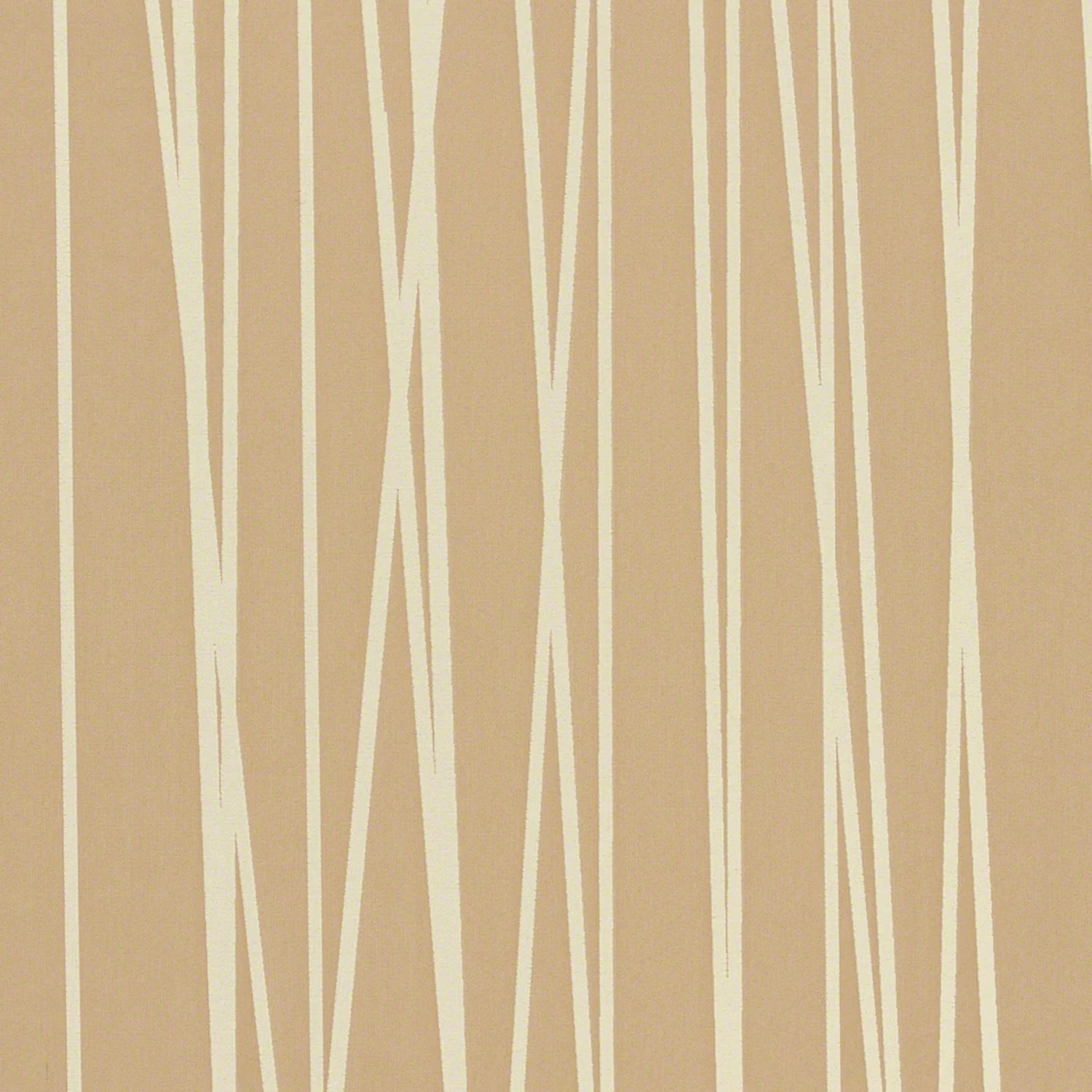 Sand Dune Front