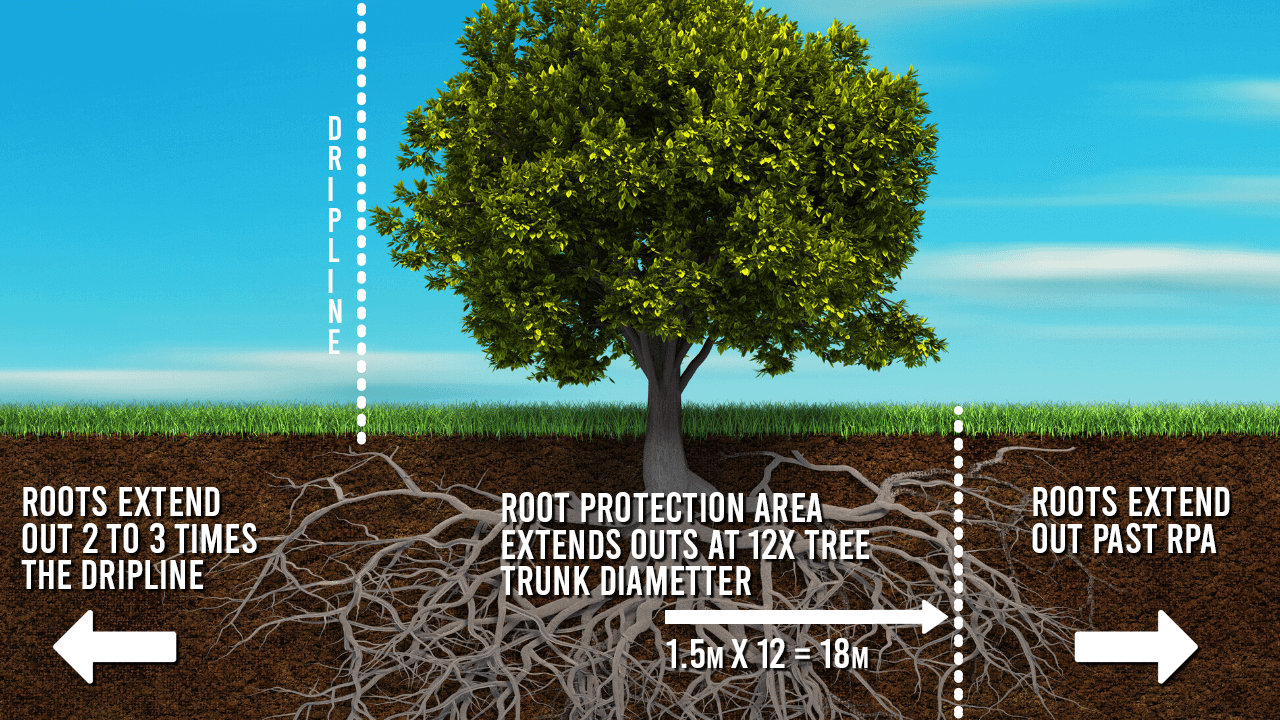 Root Protection Area Issues? Solve with the VOGT GeoInjector Pro
