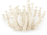 Seychelles Coco Sconce