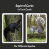 Squirrels: The Card Game (Pre-order)