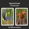 Squirrels: The Card Game (Pre-order)