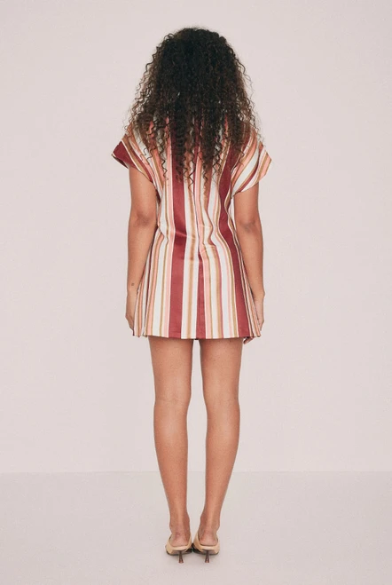 Isla Stripe Mini Dress in Berry Stripe
