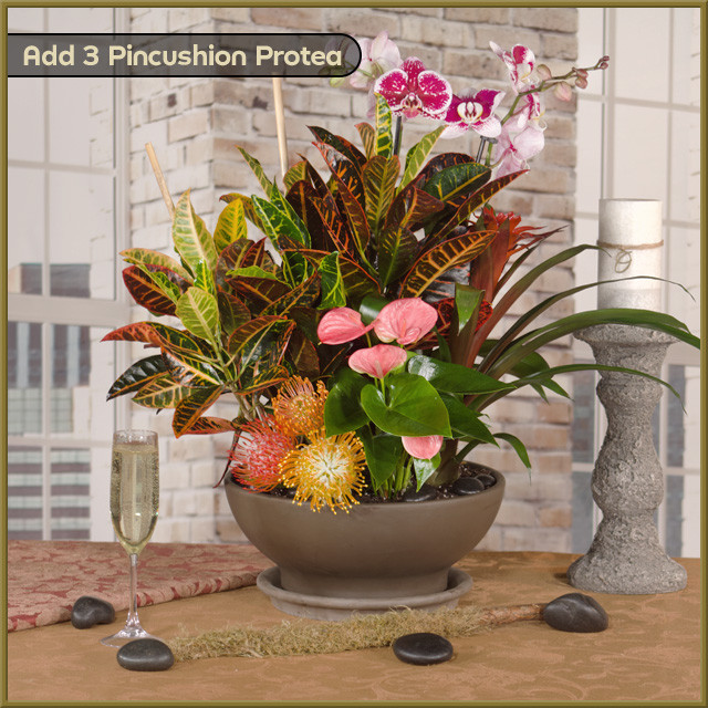 【美品】“FLOWER ORB LAYERS” ロンT Flower グラフィックロンT/earth music&ecology（アース ミュージック