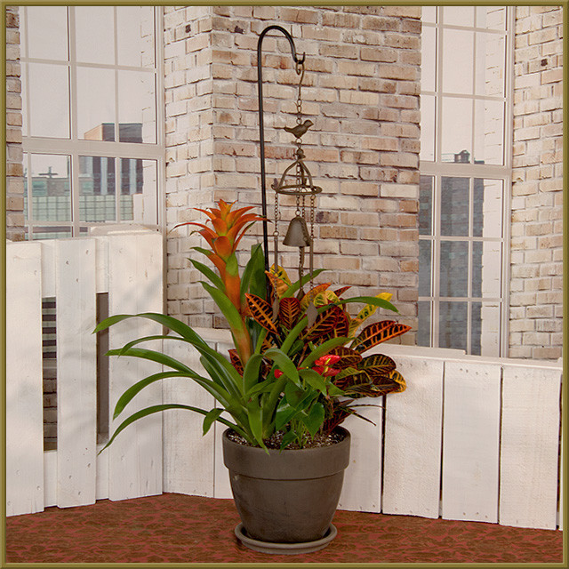 Tropical Wind Chime - Oberer's Flowers