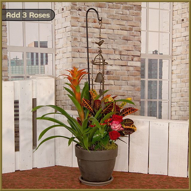 Tropical Wind Chime - Oberer's Flowers