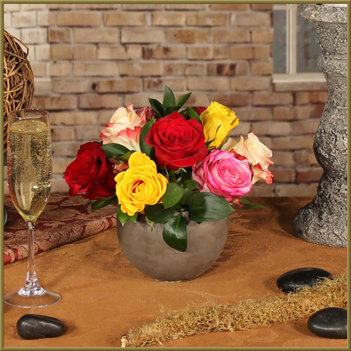 Rembrandt Roses