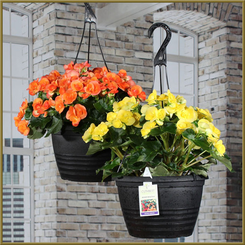 Hanging Basket Set