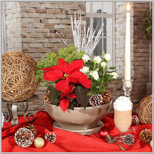 Holiday Planter Holiday Planter