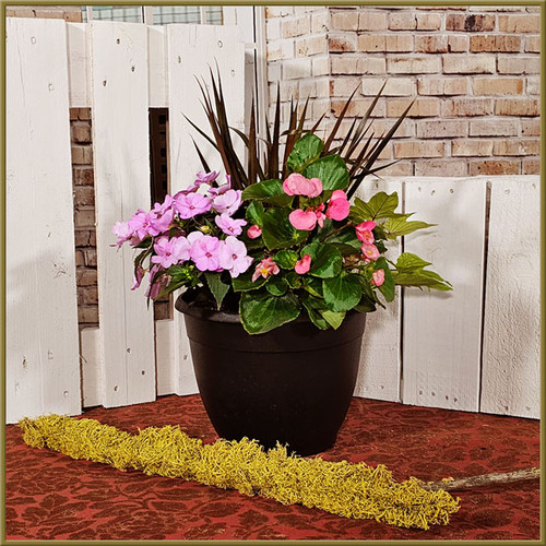 Patio Pot - Small