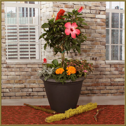 Patio Pot - Large
