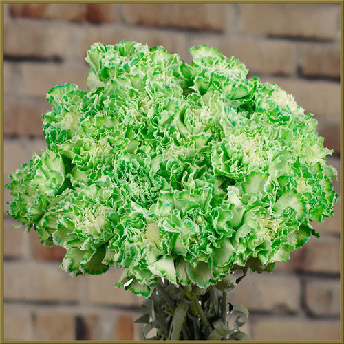 Cash & Carry - Tue, 03/17