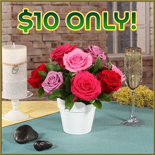 Rembrandt Roses