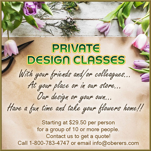Private Design Classes