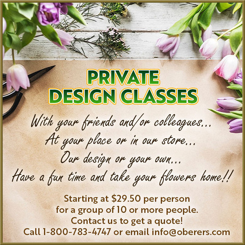 Private Design Classes