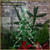 Winter Patio Pot Winter Patio Pot