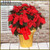 Poinsettia - 10"