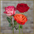 Add Three Roses