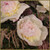 Salt‑Kissed Peonies
