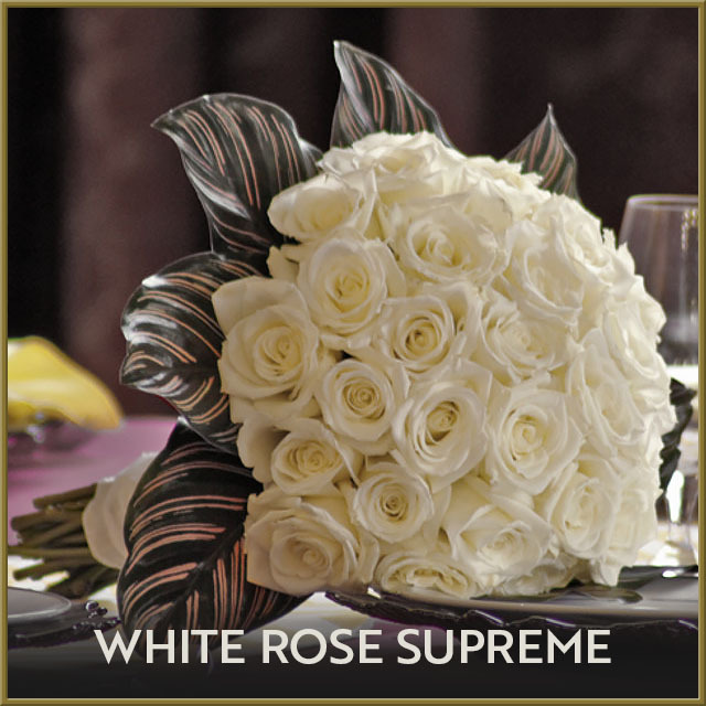 Widget Image