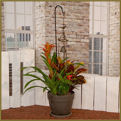 Tropical Wind Chime - Oberer's Flowers