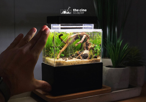 working miniature toy aquarium