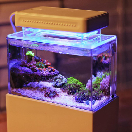 working miniature toy aquarium