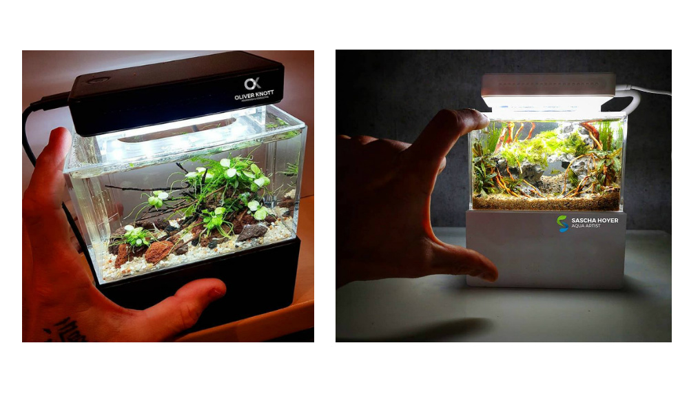 complete mini aquarium