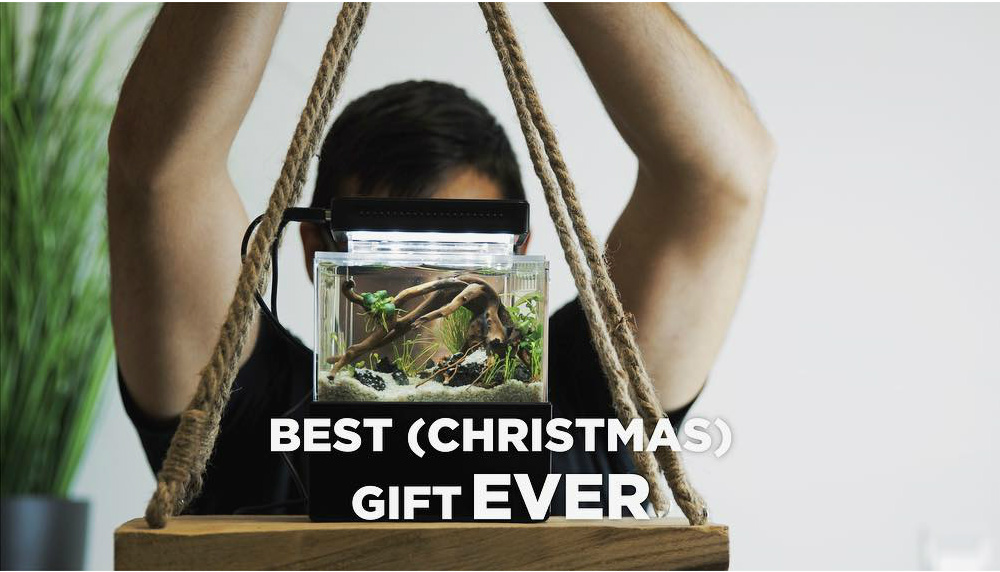 mini complete tank setup