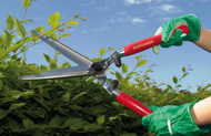 Loppers and Hedge Shears