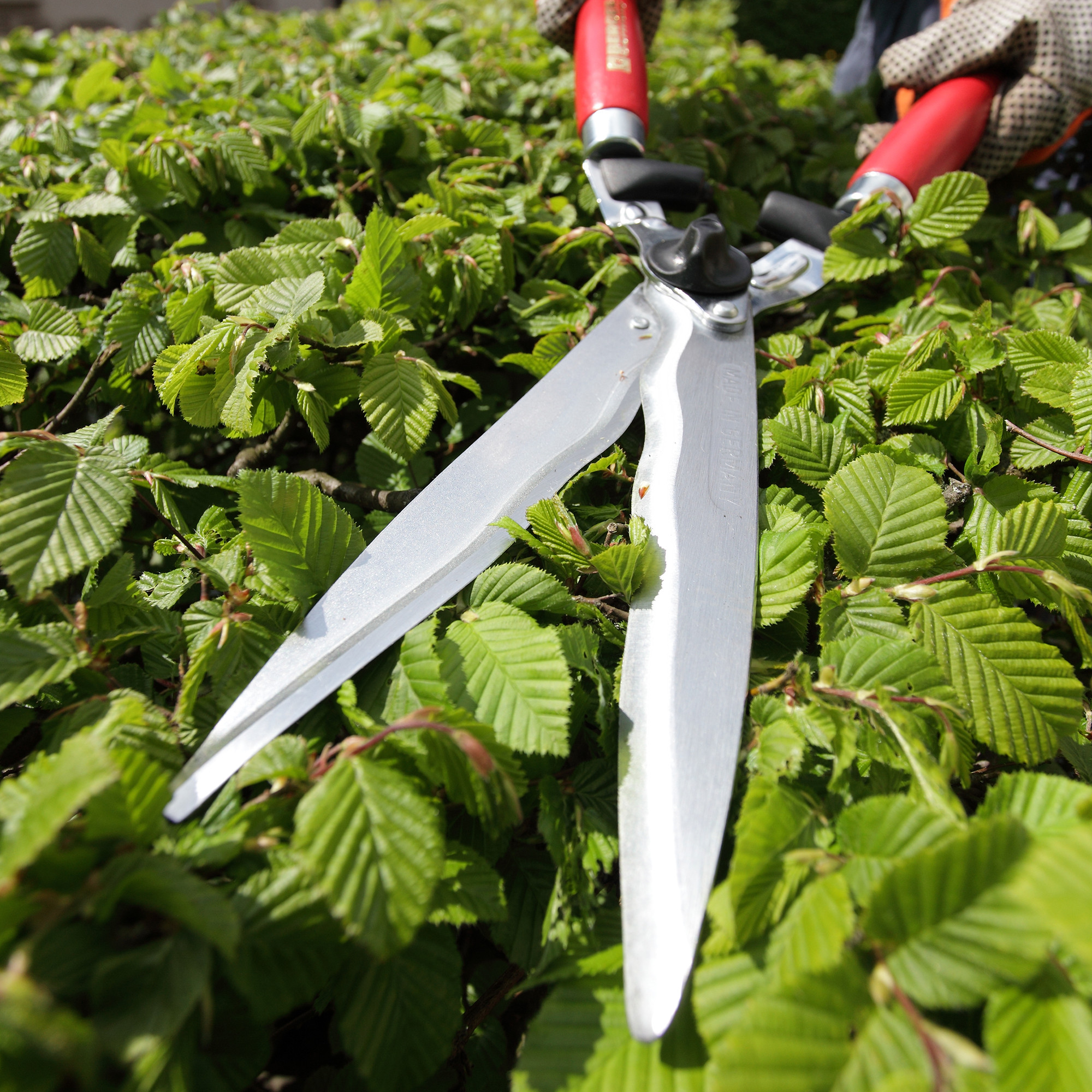 Berger Hedge Shear with Wavy Blades, Wood Handle, 24"