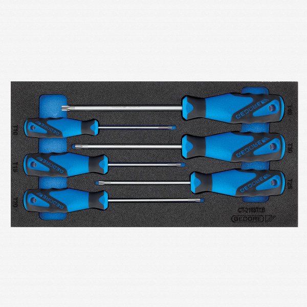 Gedore 1500 CT1-2163 TXB Screwdriver set in 1/3 CT module - KC Tool